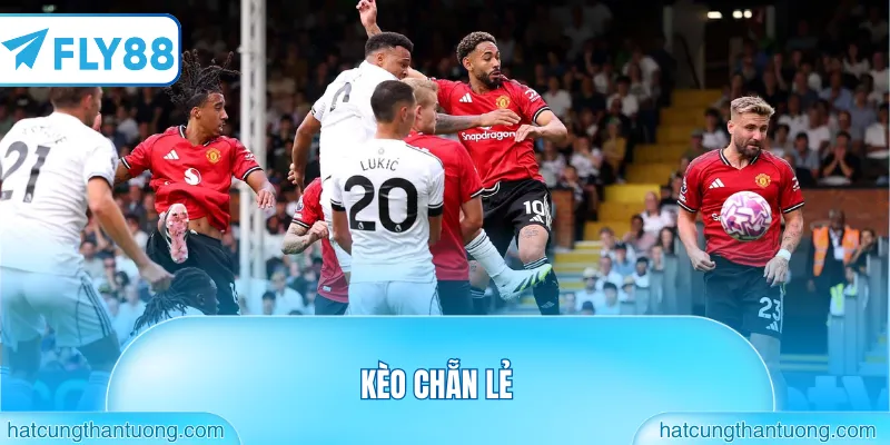 Kèo chẵn lẻ
